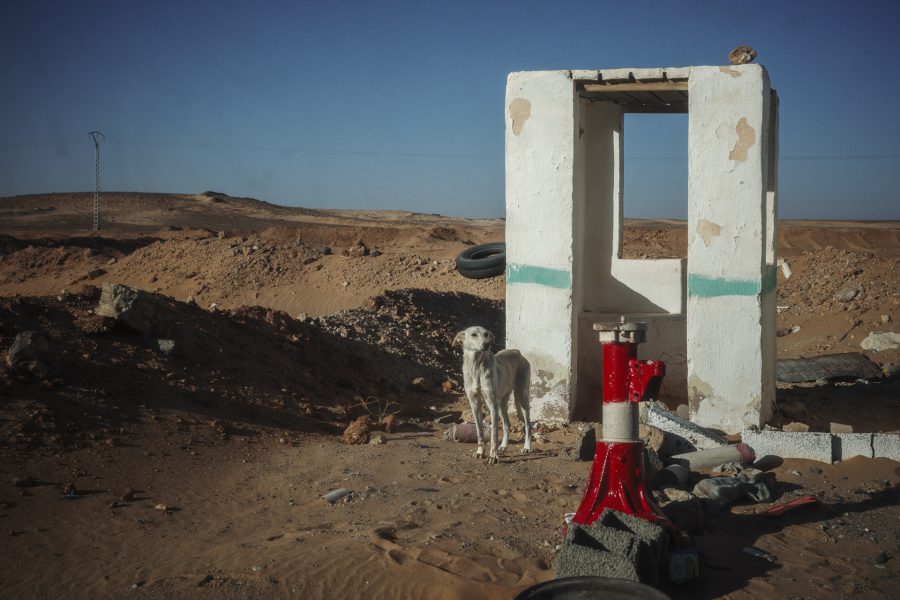 A stray dog stands guard at a military checkpoint near the border areas. This image, taken from the passenger seat of a moving Mercedes-Benz, reflects the pervasive sense of security and surveillance that defines the region. The vehicle serves not only as transport but as a viewing platform from which refugees observe their militarized reality.