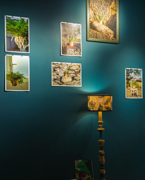 www.fotogasteiz.com