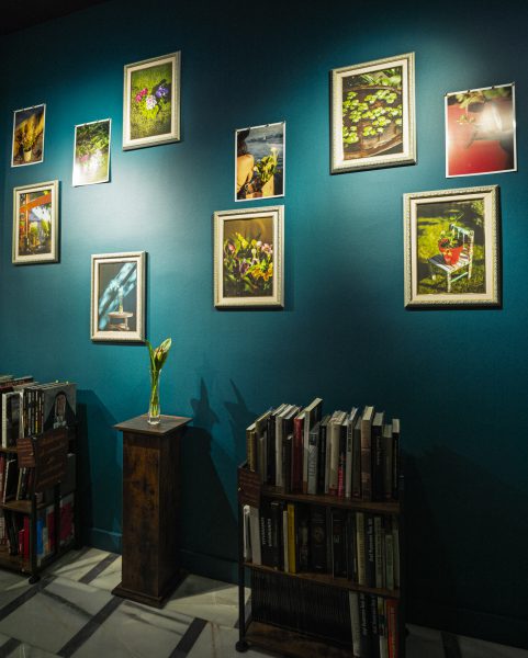 www.fotogasteiz.com
